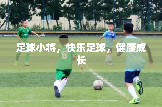 足球小將，快樂足球，健康成長