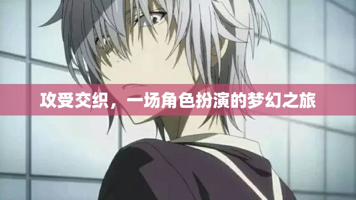 攻受交織，角色扮演的夢(mèng)幻之旅  第1張