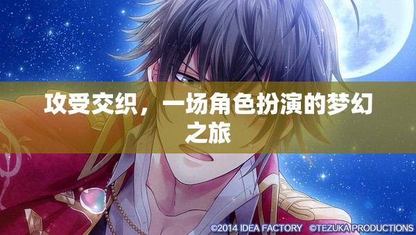 攻受交織，角色扮演的夢(mèng)幻之旅  第2張