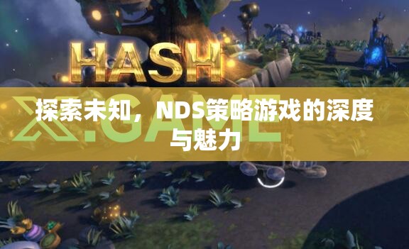 探索未知，NDS策略游戲的深度與魅力