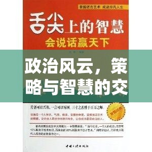 權(quán)謀天下，政治風(fēng)云與策略智慧的交響曲