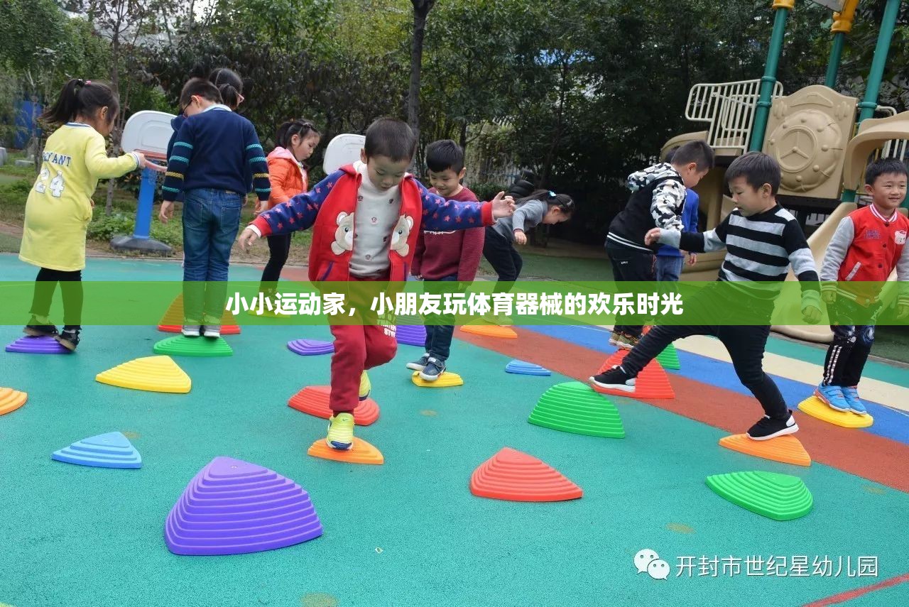 小小運動家，小朋友在體育器械中歡笑與成長