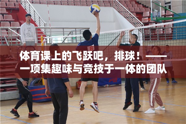 飛躍吧，排球，體育課上的趣味與競(jìng)技團(tuán)隊(duì)盛宴