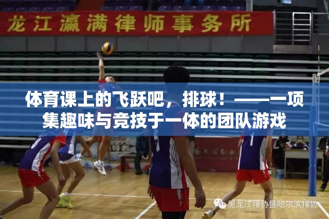 飛躍吧，排球，體育課上的趣味與競(jìng)技團(tuán)隊(duì)盛宴