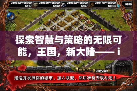 探索智慧與策略的無(wú)限可能，iPhone上的新大陸策略游戲巨作  第3張