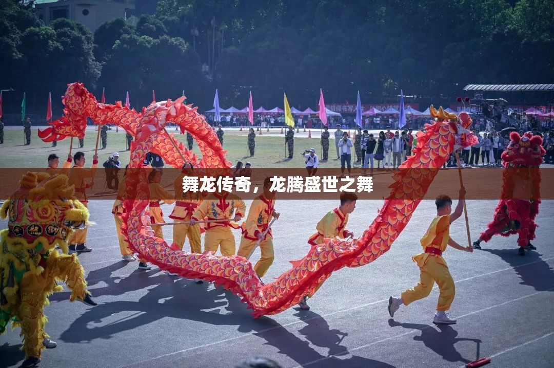 舞龍傳奇，龍騰盛世之舞的震撼演繹