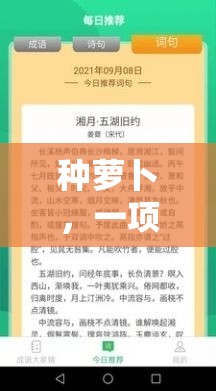 寓教于樂，種蘿卜體育游戲的觀察與記錄