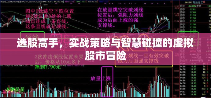 選股高手，實戰(zhàn)策略與智慧碰撞的虛擬股市冒險