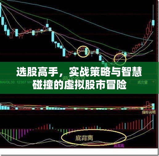 選股高手，實戰(zhàn)策略與智慧碰撞的虛擬股市冒險