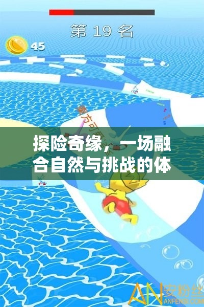 探險奇緣，融合自然與挑戰(zhàn)的體育游戲教案