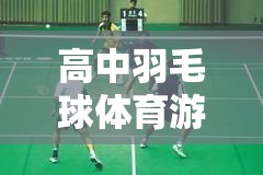 羽翼飛揚(yáng)高中羽毛球體育游戲，青春競(jìng)技場(chǎng)上的速度與激情