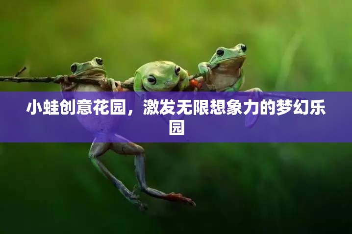 小蛙創(chuàng)意花園，激發(fā)無限想象力的夢(mèng)幻樂園