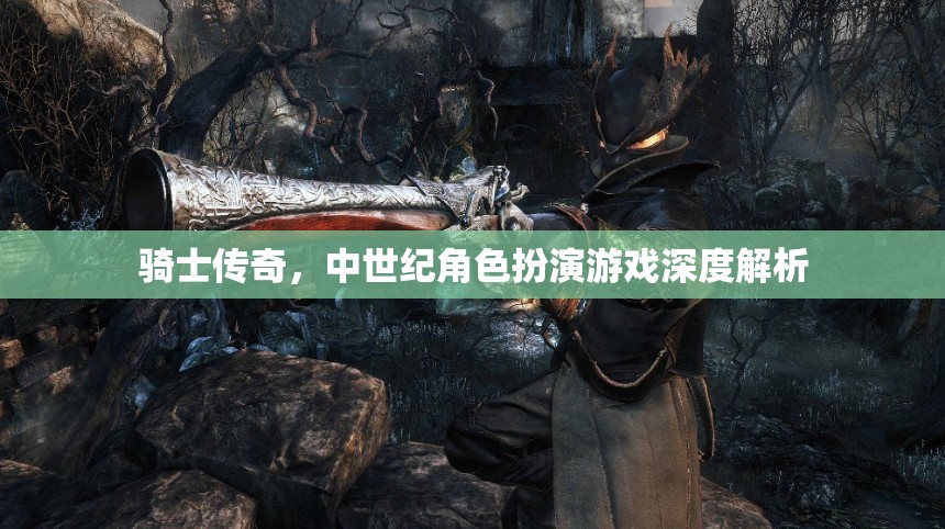 中世紀騎士傳奇，深度解析與角色扮演的魅力
