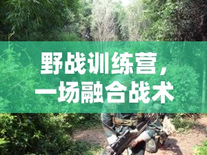 野戰(zhàn)訓(xùn)練營(yíng)，戰(zhàn)術(shù)與勇氣的體育盛宴