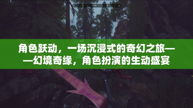 角色躍動，一場沉浸式的奇幻之旅——幻境奇緣，角色扮演的生動盛宴