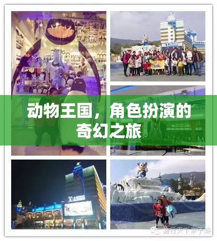 動(dòng)物王國，角色扮演的奇幻冒險(xiǎn)之旅