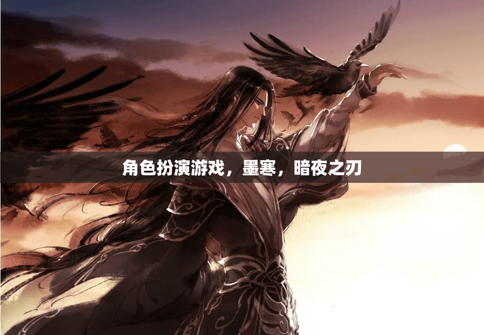 角色扮演游戲，墨寒，暗夜之刃
