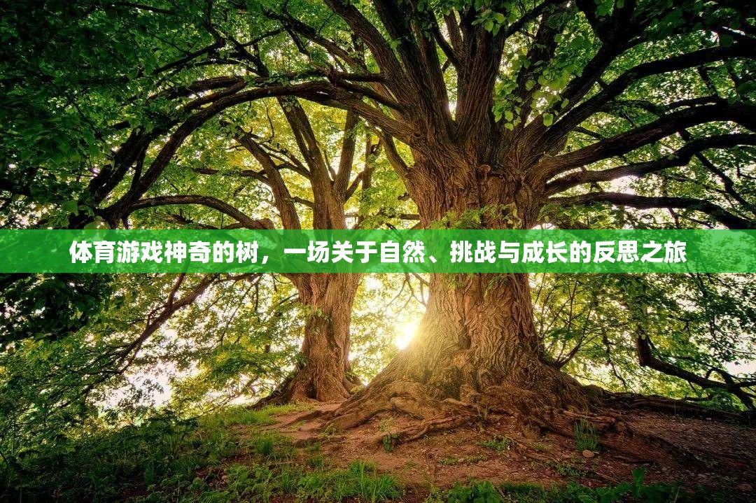 神奇的樹，一場(chǎng)自然、挑戰(zhàn)與成長(zhǎng)的體育游戲反思之旅