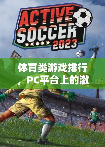 PC平臺上的體育游戲激情與挑戰(zhàn)，排行揭曉