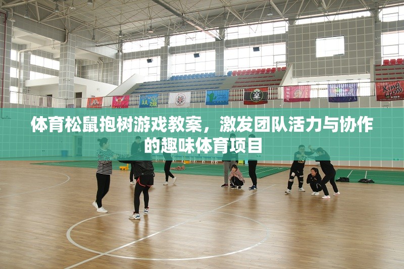 激發(fā)團(tuán)隊(duì)活力與協(xié)作的趣味體育項(xiàng)目，體育松鼠抱樹游戲教案
