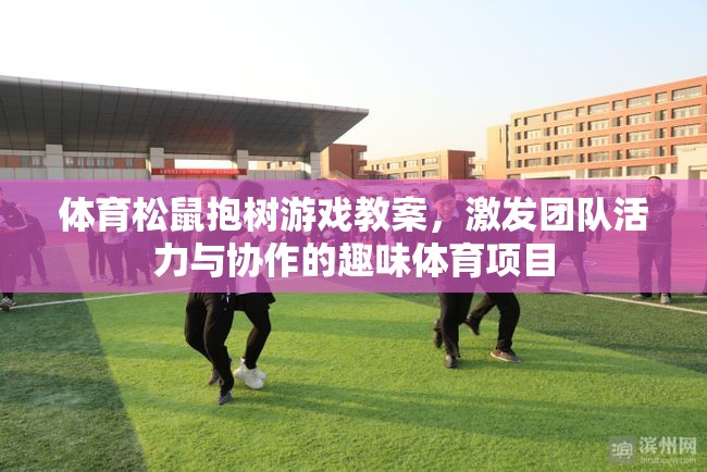 激發(fā)團(tuán)隊(duì)活力與協(xié)作的趣味體育項(xiàng)目，體育松鼠抱樹游戲教案