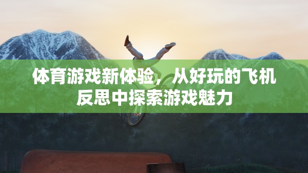 從好玩的飛機(jī)游戲中探索體育游戲的魅力，新體驗(yàn)的啟示