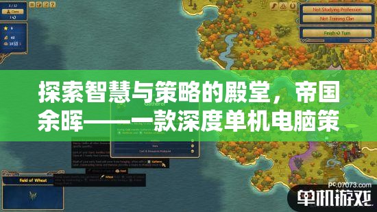 帝國余暉，探索智慧與策略的深度單機(jī)電腦策略游戲解析