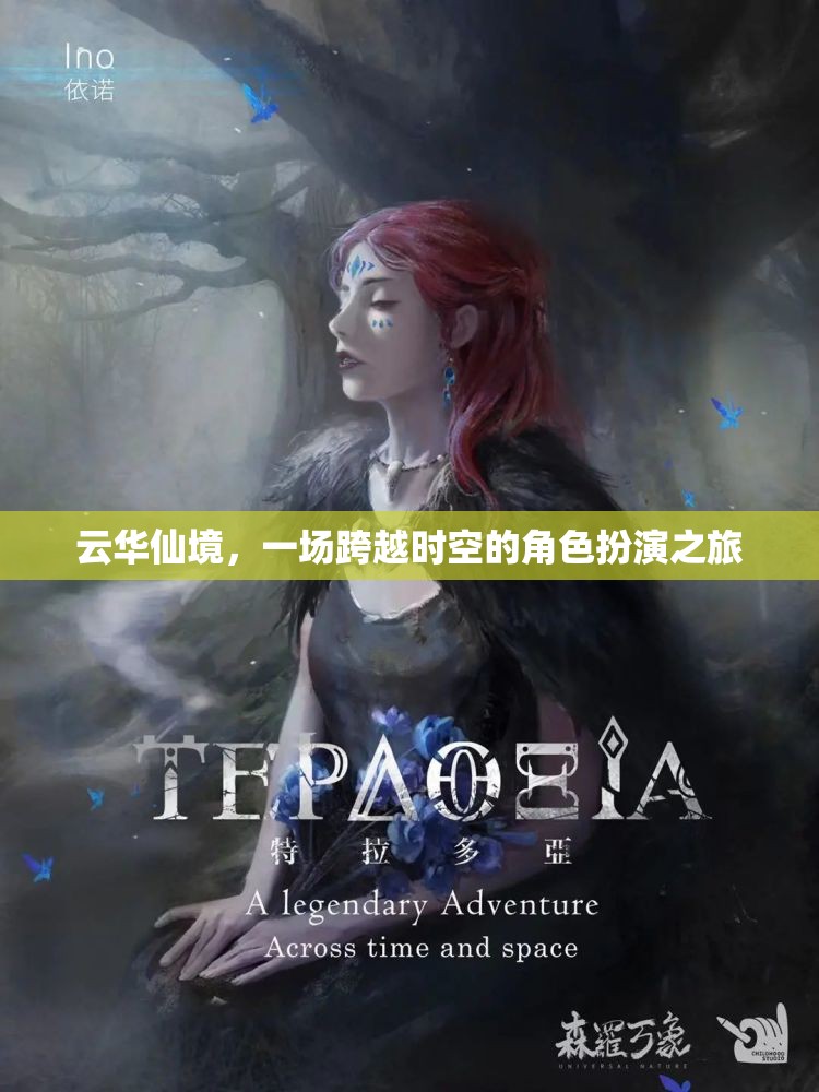 云華仙境，時(shí)空穿越的角色扮演之旅