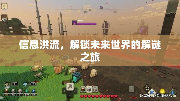 信息洪流，解鎖未來世界的解謎之旅