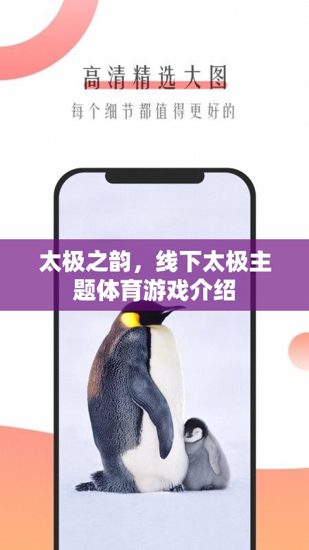 太極之韻，線下太極主題體育游戲的魅力探索