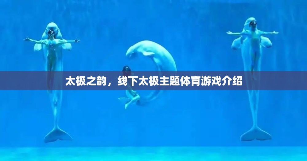 太極之韻，線下太極主題體育游戲的魅力探索