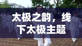 太極之韻，線下太極主題體育游戲的魅力探索