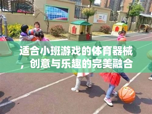 小班游戲新寵，創(chuàng)意體育器械，讓樂趣與健康完美融合