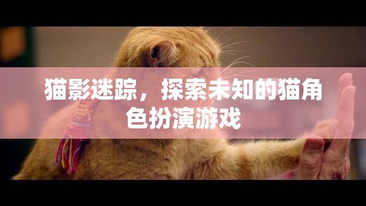 貓影迷蹤，探索未知的貓角色扮演游戲