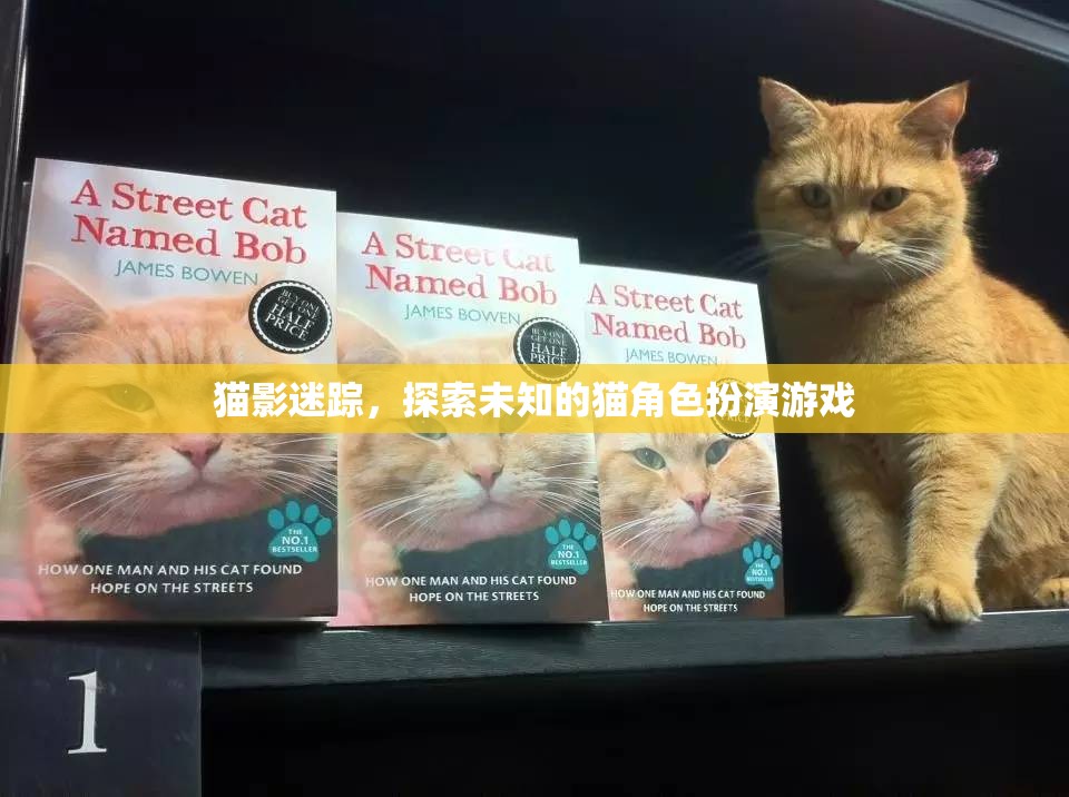 貓影迷蹤，探索未知的貓角色扮演游戲