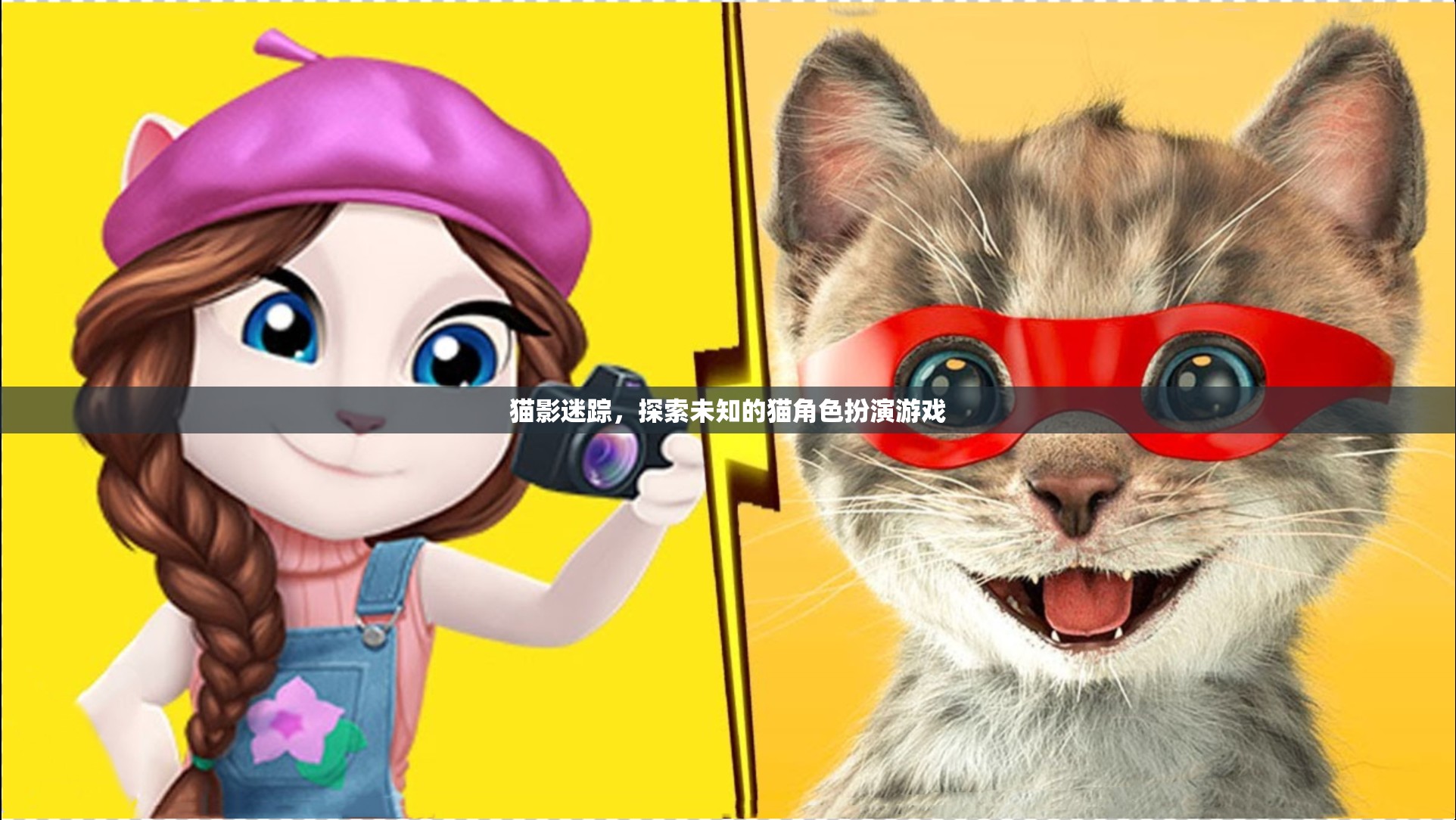 貓影迷蹤，探索未知的貓角色扮演游戲
