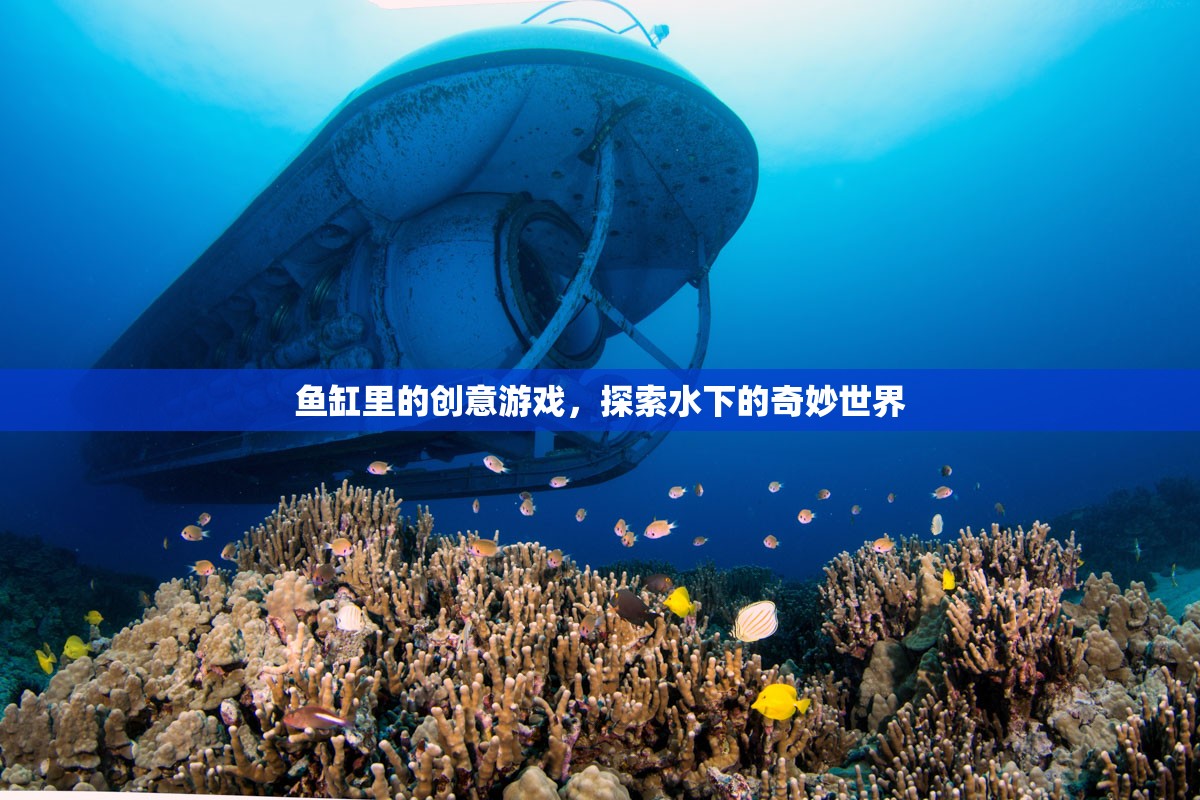 魚(yú)缸里的創(chuàng)意游戲，探索水下的奇妙世界