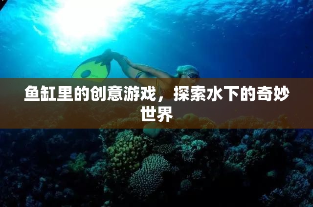 魚(yú)缸里的創(chuàng)意游戲，探索水下的奇妙世界