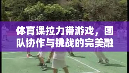 拉力帶游戲，團(tuán)隊(duì)協(xié)作與挑戰(zhàn)的完美融合