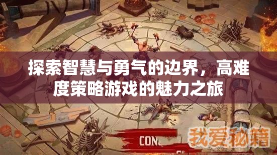 智慧與勇氣的邊界探索，高難度策略游戲的魅力之旅