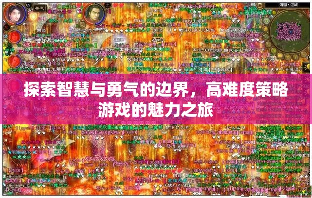 智慧與勇氣的邊界探索，高難度策略游戲的魅力之旅