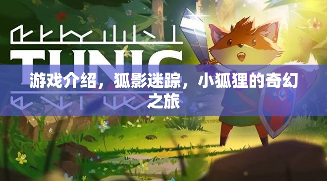 狐影迷蹤，小狐貍的奇幻冒險(xiǎn)之旅