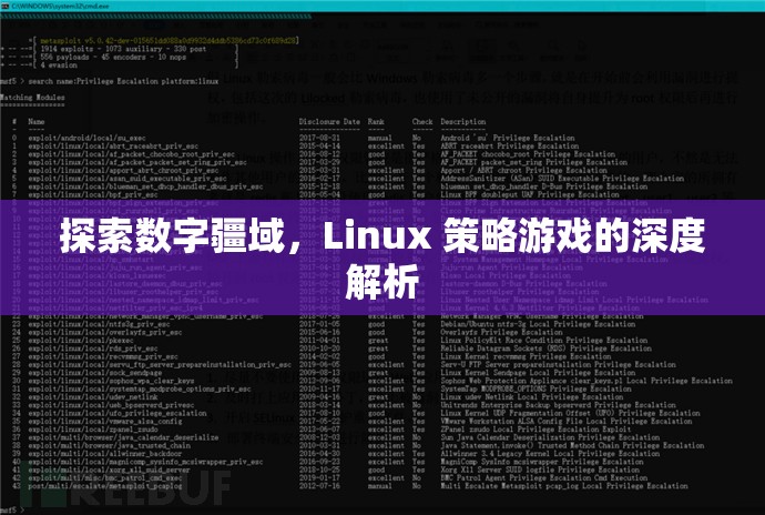探索數(shù)字疆域，Linux策略游戲的深度解析