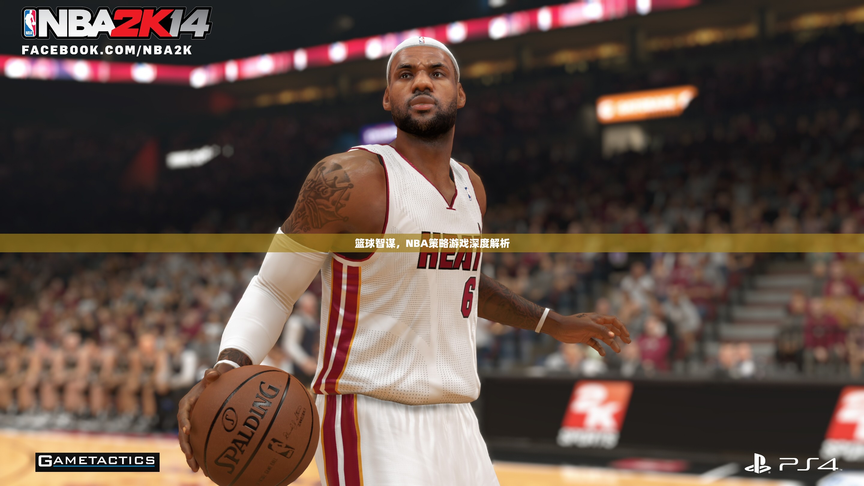 籃球智謀，深度解析NBA策略游戲的策略與智慧