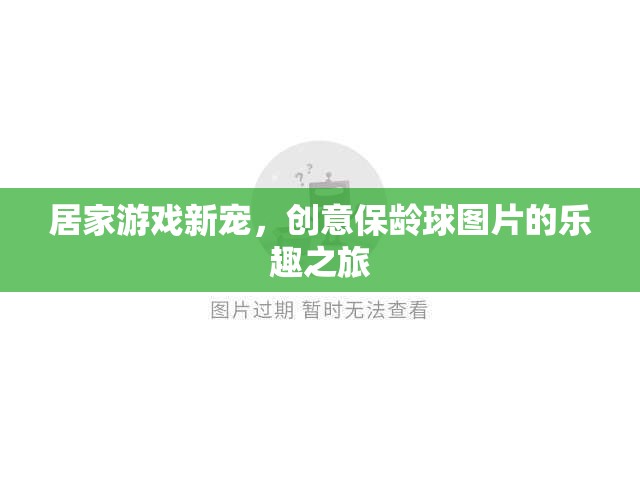 創(chuàng)意保齡球，居家游戲新寵，解鎖圖片的樂(lè)趣之旅