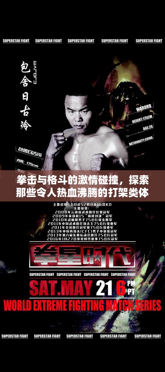 拳擊與格斗的激情碰撞，探索那些令人熱血沸騰的打架類體育游戲