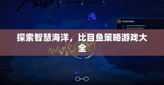 智慧海洋的探索，比目魚策略游戲大全