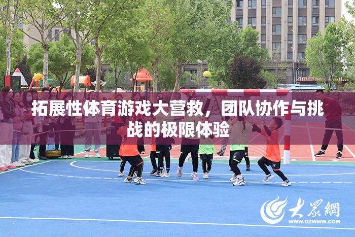 拓展性體育游戲大營救，團隊協(xié)作與挑戰(zhàn)的極限體驗