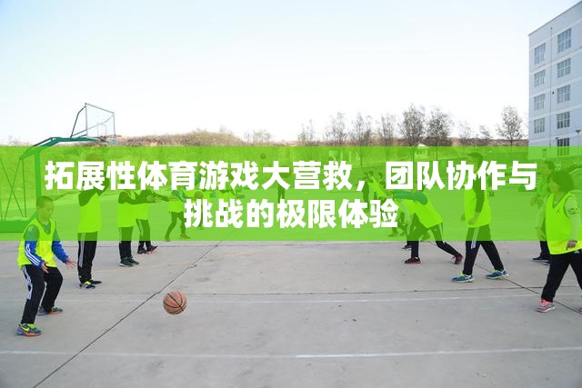 拓展性體育游戲大營救，團隊協(xié)作與挑戰(zhàn)的極限體驗