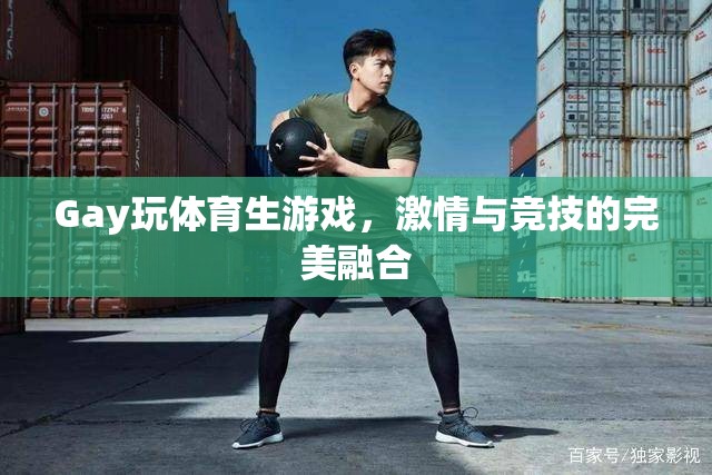 激情與競技，Gay體育生游戲的完美融合